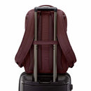 Samsonite Companion Bags Laptop Backpack 15.6"